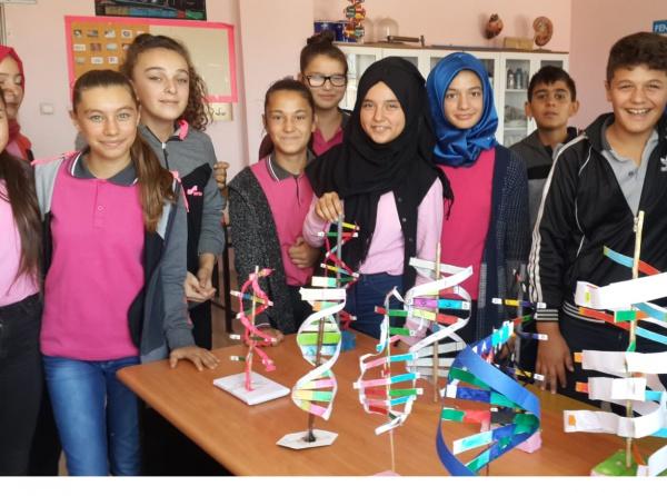 8.Sınıfların Projesi DNA Modelleri